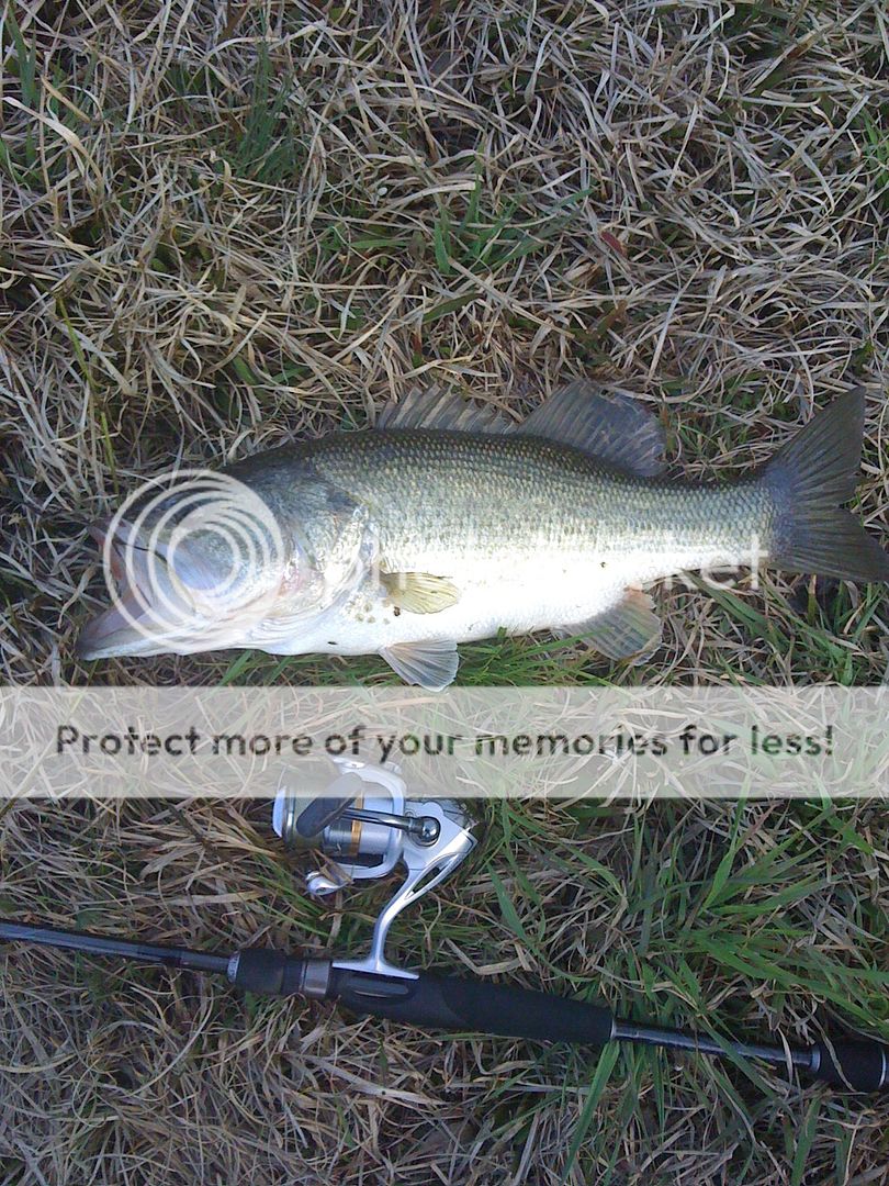 Field & Stream Tec Spec Rods Forums